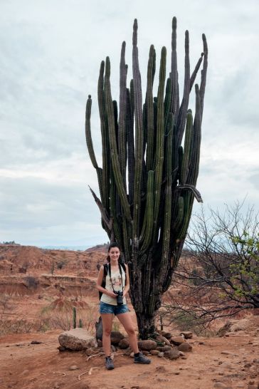 Ils sont vraiment grands ces cactus!